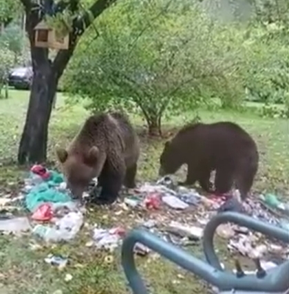 VIDEO: Lāči demolē Vijciema pagasta “Silnieku” mājas. Iedzīvotāji spiesti bēgt uz dzīvokli Valkā