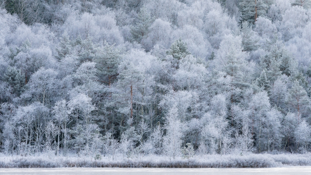 Pēc 20.novembra Latvijā iespējami ziemīgi laikapstākļi